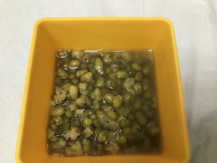 1110502午點