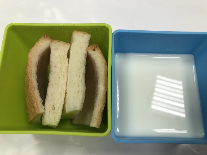 1111206早點
