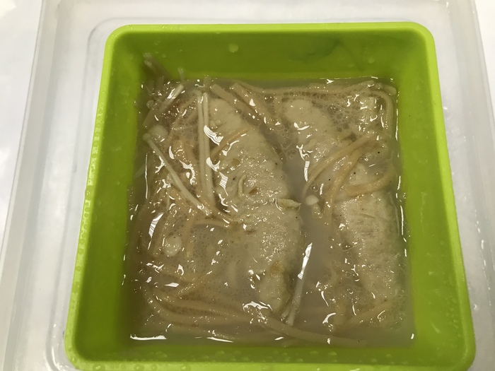 1120328早點
