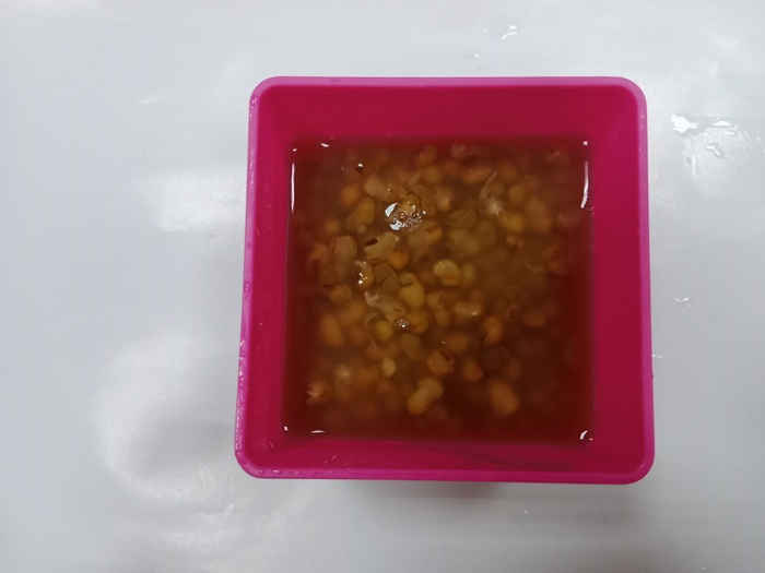 1120301 午點
