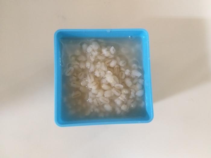 110.12.28午點
