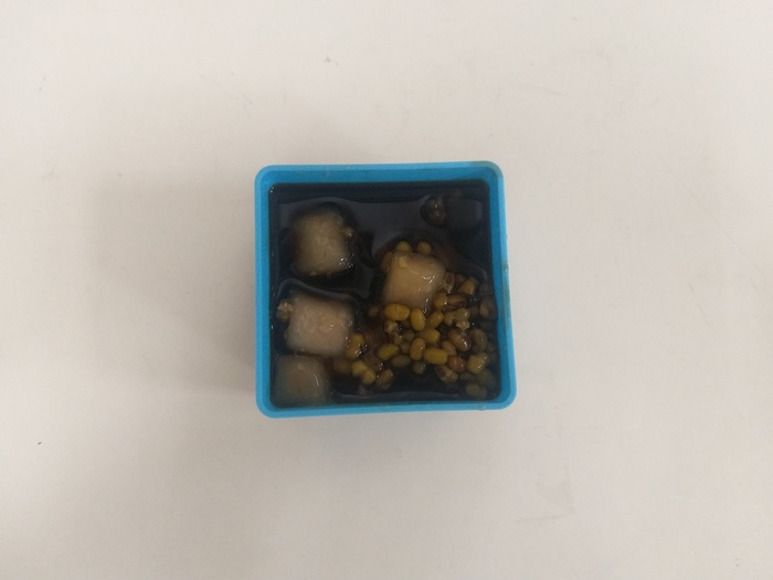 112.02.24午點