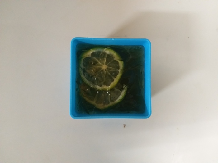 110.10.28午點