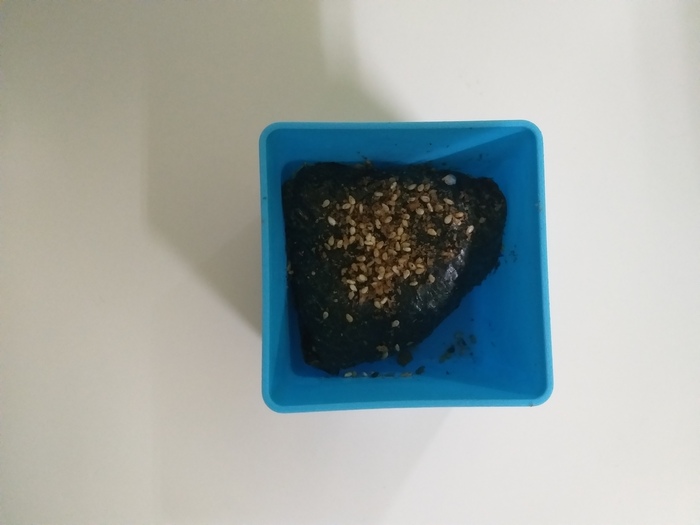 111.02.15早點