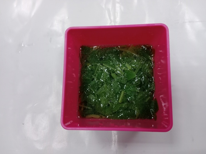 1120323早點